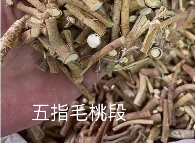 五指毛桃段