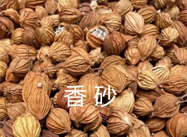 香砂