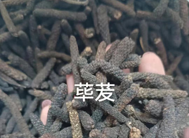 蓽苃