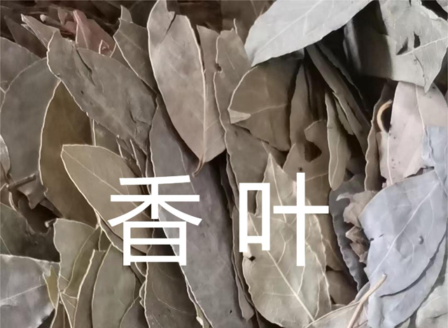 香葉